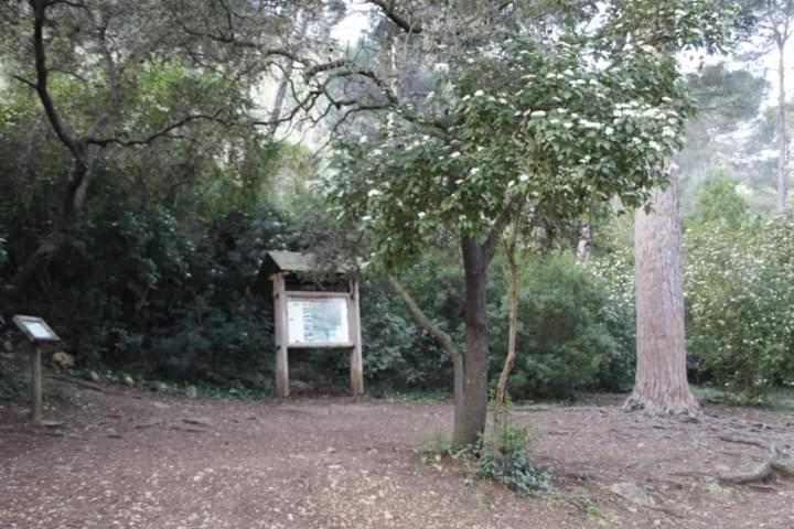 Casa Rural Ca Xelo Apartment Polinya de Xuquer Bagian luar foto